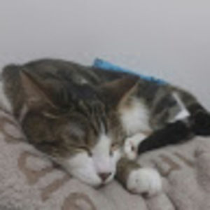 Meet your Posher, Jenny